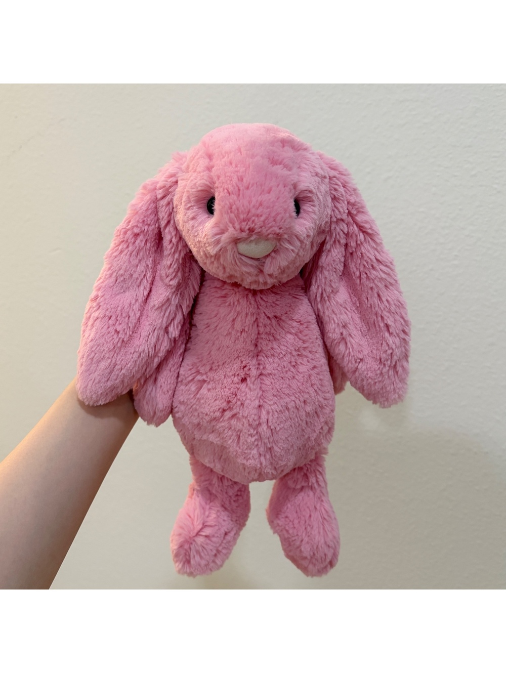 Jellycat Sorbet Bunny Medium - NWOT